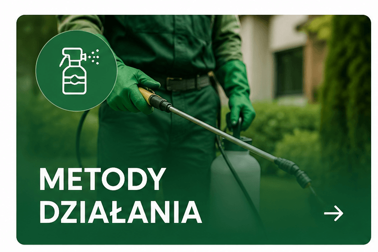 metody_dzialania